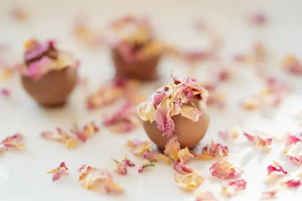 Tusk Kasino Android/iOS Aplikácia